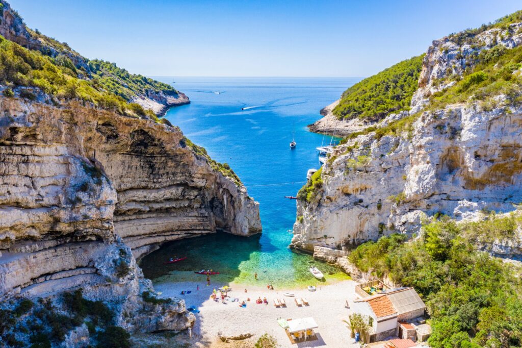 Vis ©Shutterstock 1767654023