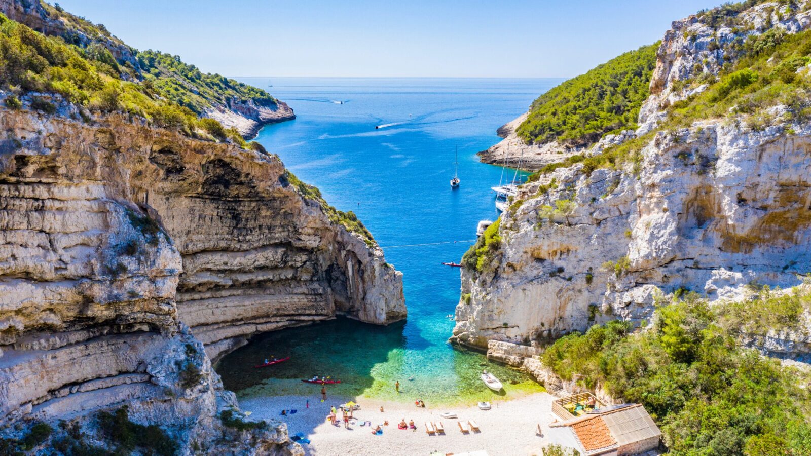 Vis ©Shutterstock 1767654023