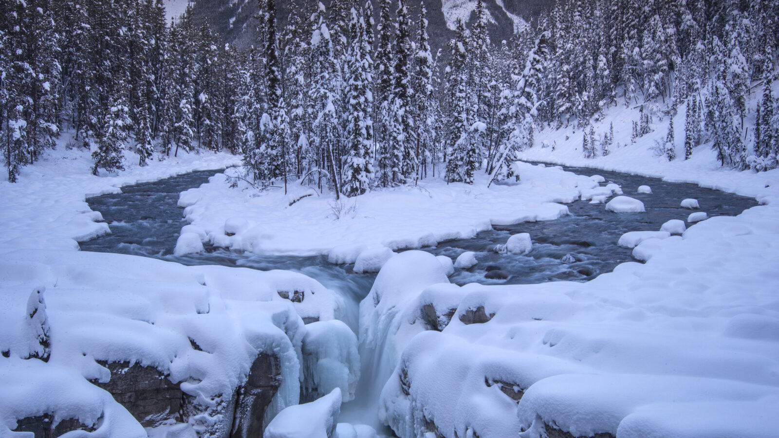 Sunwapta Falls © Jeff Lewis Photography